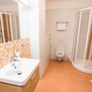 Grand Apartments Špindlerův Mlýn (5)