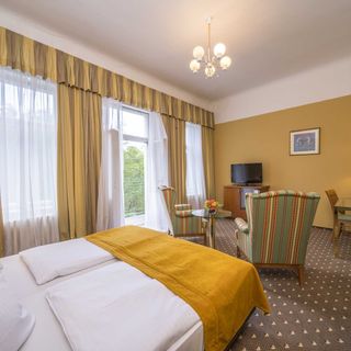 Hotel Luisa Františkovy Lázně (4)