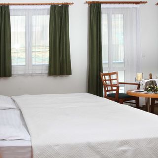 Hotel Maxim Mariánské Lázně (3)