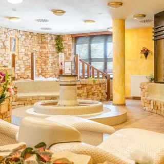 Spa Hotel Bílý Hořec Harrachov (2)
