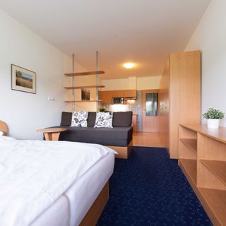 Apartmány ENGADIN Boží Dar (3)