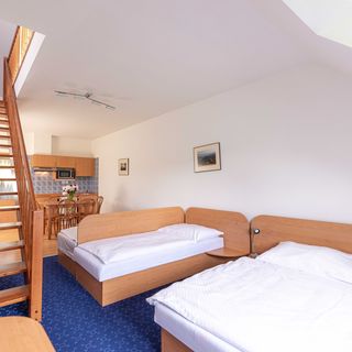 Apartmány ENGADIN Boží Dar (5)