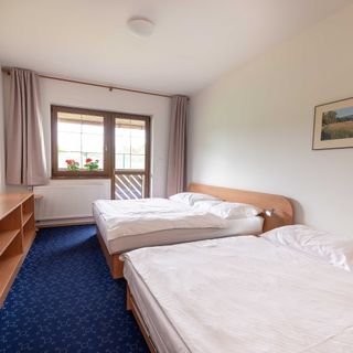 Apartmány ENGADIN Boží Dar (4)