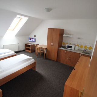 Penzion U Gigantu Plzeň (4)