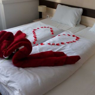 Wellness penzion U Gigantu Plzeň (5)