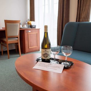 Spa Resort Libverda - Hotel Panorama Lázně Libverda (4)