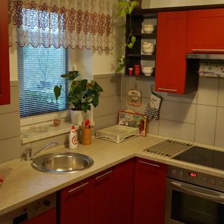 Apartmán a studio Boroví Srbsko (5)