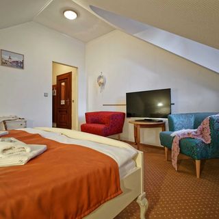 Hotel Napoleon Slavkov u Brna (3)