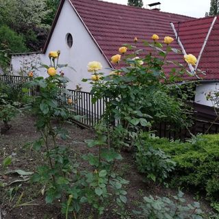 Barbara Apartmanház Miskolc (3)