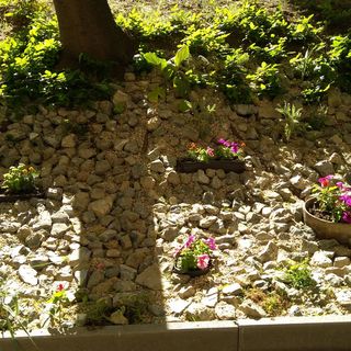 Gesztenyés Apartman Miskolc (3)