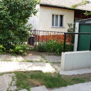 Fűzfa Apartman Balatonfűzfő (3)