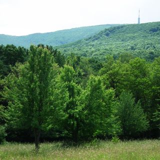 Óhuta Vendégház Parádóhuta (3)