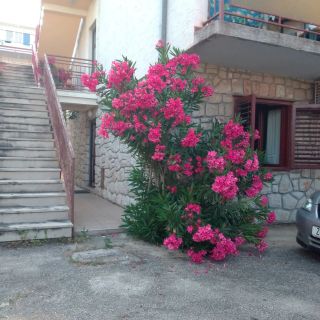 Apartmani Ana Crikvenica (5)