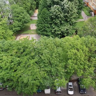 Coral Apartman Pécs (5)