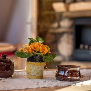 Apartament Pod Reglami Kościelisko (3)