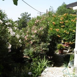 Apartmanok A Tenger Mellett Novi Vinodolski - 2347 (5)