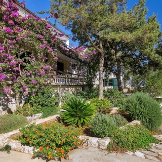 Apartmanok A Tenger Mellett Öböl Pokrivenik, Hvar - 5223 Pokrivenik (3)