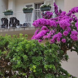 Apartmanok A Tenger Mellett Trpanj, Peljesac - 14309 Trpanj (2)