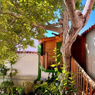 Apartmanok A Tenger Mellett Tisno, Murter - 14346 Tisno (4)