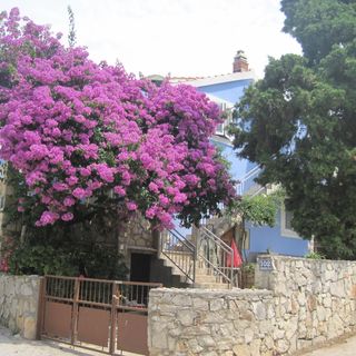 Apartmanok A Tenger Mellett Maslinica, Solta - 14748 Maslinica (2)