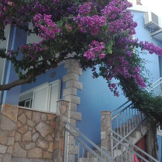 Apartmanok A Tenger Mellett Maslinica, Solta - 14748 Maslinica (3)