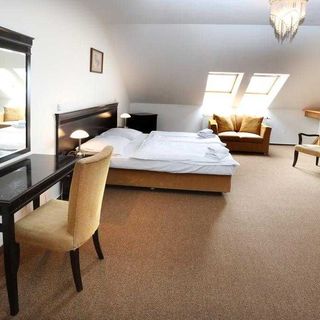 Hotel U Zeleného stromu Nepomuk (4)