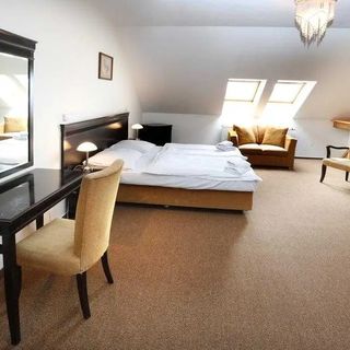 Hotel U Zeleného stromu Nepomuk (4)