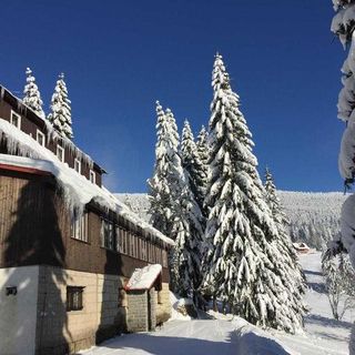 Horský hotel Flora Vítkovice (3)