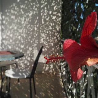 Apartment Adriana Makarska (2)