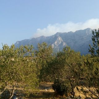 Apartment Adriana Makarska (5)