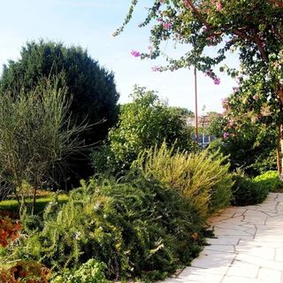 Apartmani Ivanić Lopar (2)