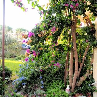 Apartmani Ivanić Lopar (3)