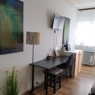 Green Apartman Salgótarján (4)