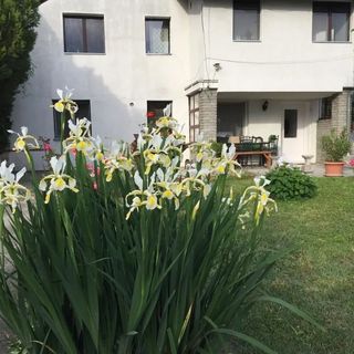 Piknik Vendégház Fertőrákos (5)