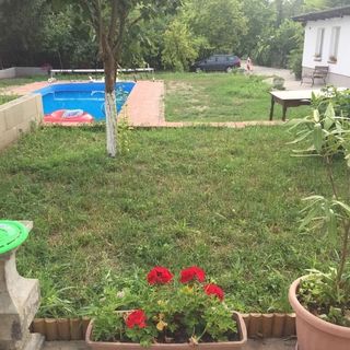 Piknik Vendégház Fertőrákos (3)