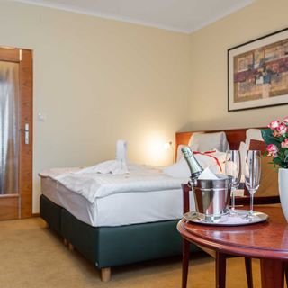 Hotel Lafonte Karlovy Vary (4)