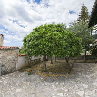 Apartment Zlatko Pirovac (4)