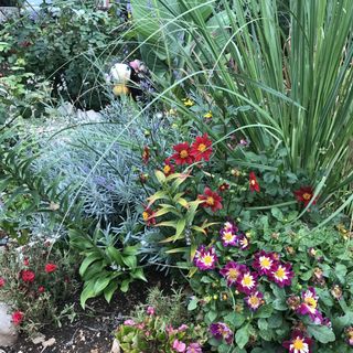 Apartmani Lesjak Punat (5)