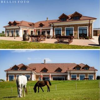 Penzión St. Peter Vini Svätý Peter (4)