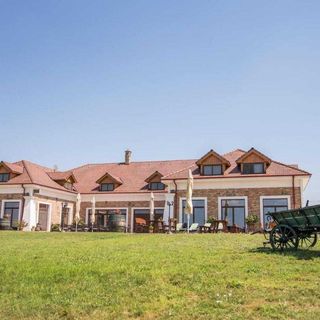 Penzión St. Peter Vini Svätý Peter (2)