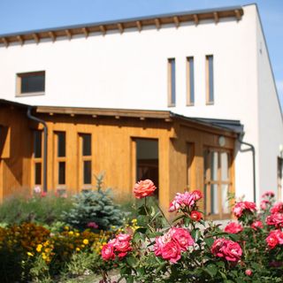 Tündérrózsa Vendégház Mórahalom (4)