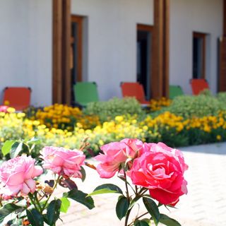 Tündérrózsa Vendégház Mórahalom (2)