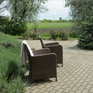 Tündérrózsa Vendégház Mórahalom (5)