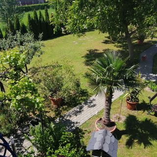 Marianna Apartman Cserszegtomaj (5)