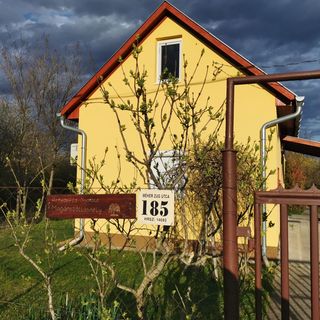 Árnyasfűz Nyaraló Mezőtúr (2)