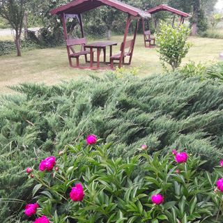 Tiszai Vándor Apartmanház Kisköre (3)