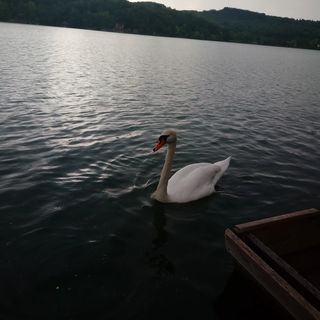 Nivida Vendégház Orfű (4)