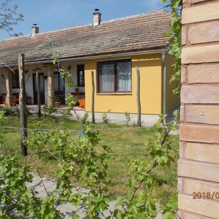 Flóra Vendégház Tass (2)