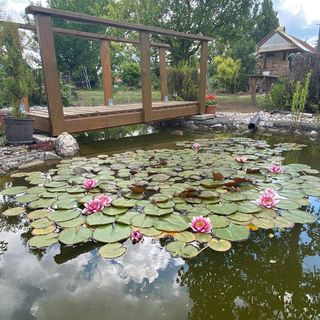 Sissy Vendégház Écs (4)