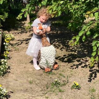 Sissy Vendégház Écs (5)